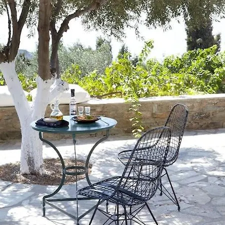 Elea, Traditional House With Pool In Tinos Monastiria