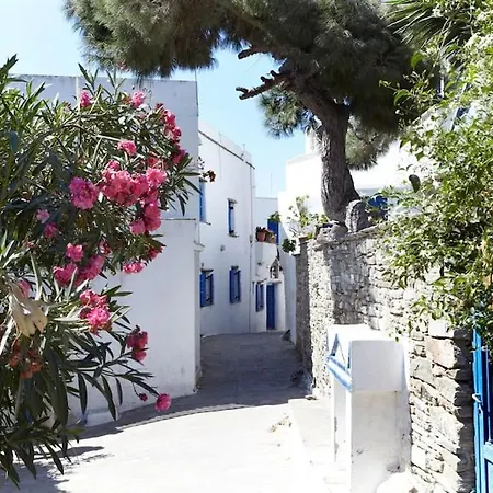 别墅 Elea, Traditional House With Pool In Tinos