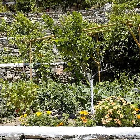 Elea, Traditional House With Pool In Tinos 别墅 Monastiria